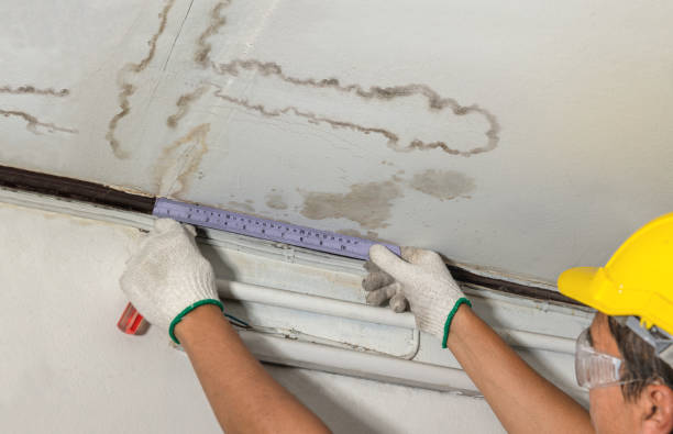 Reliable Structural Drying contractor in Adamsville, OH by Water Damage Irwin